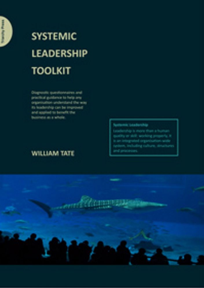 Systemic Leadership Toolkit