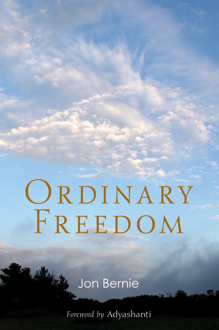 Ordinary Freedom
