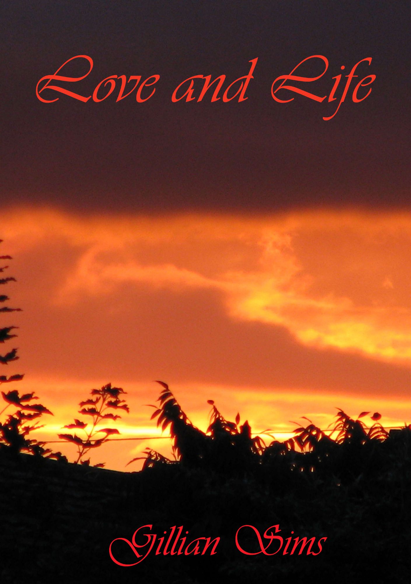 Love And Life