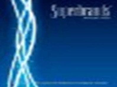 Superbrands Annual 2013: An Insight to Some of Britian's Strongest Brands
