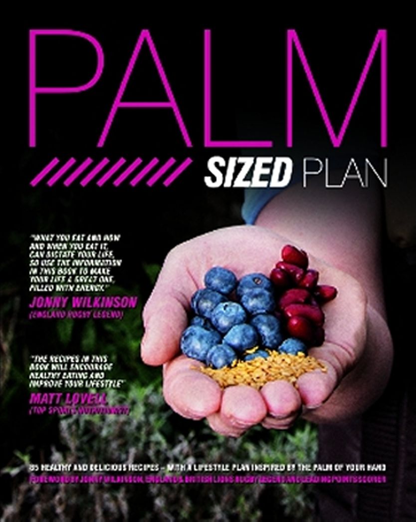 Palm Sized Plan