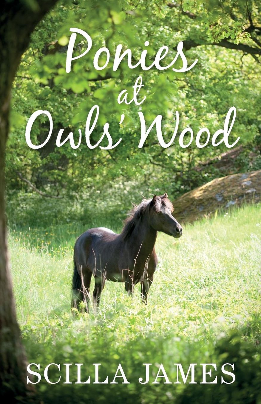 Ponies at Owls' Wood