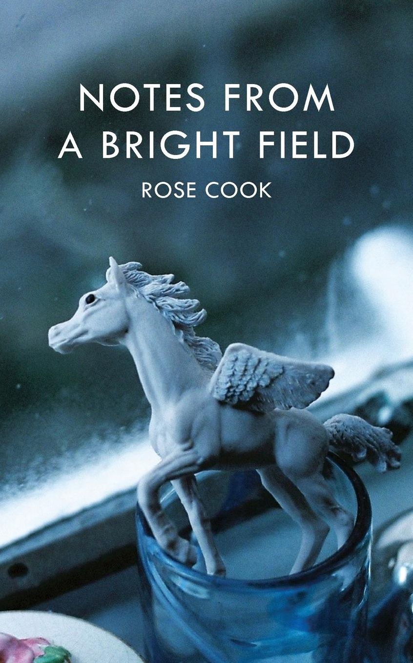 Notes from a Bright Field