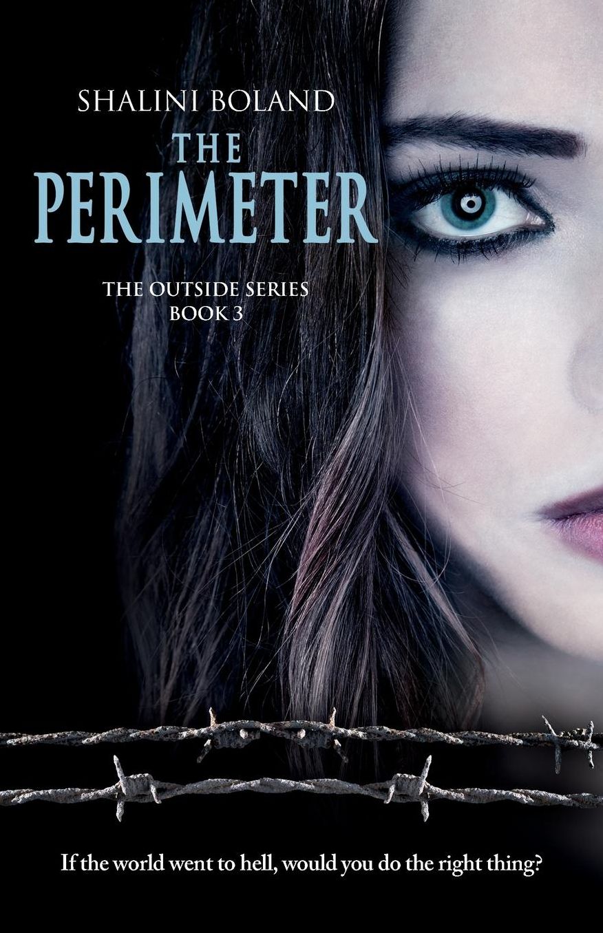 THE PERIMETER
