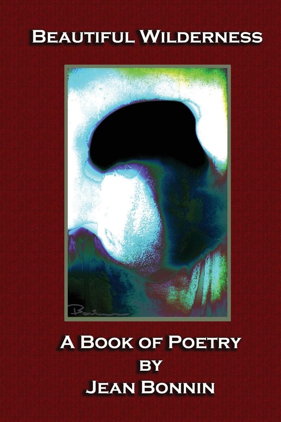 Beautiful Wilderness: A Poetry Book