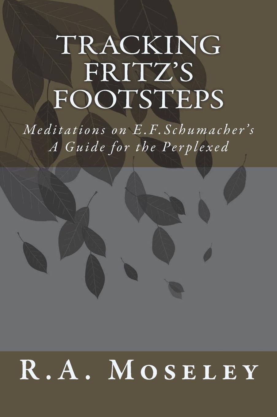 Tracking Fritz's Footsteps: Meditations on E.F. Schumacher's A Guide for the Perplexed