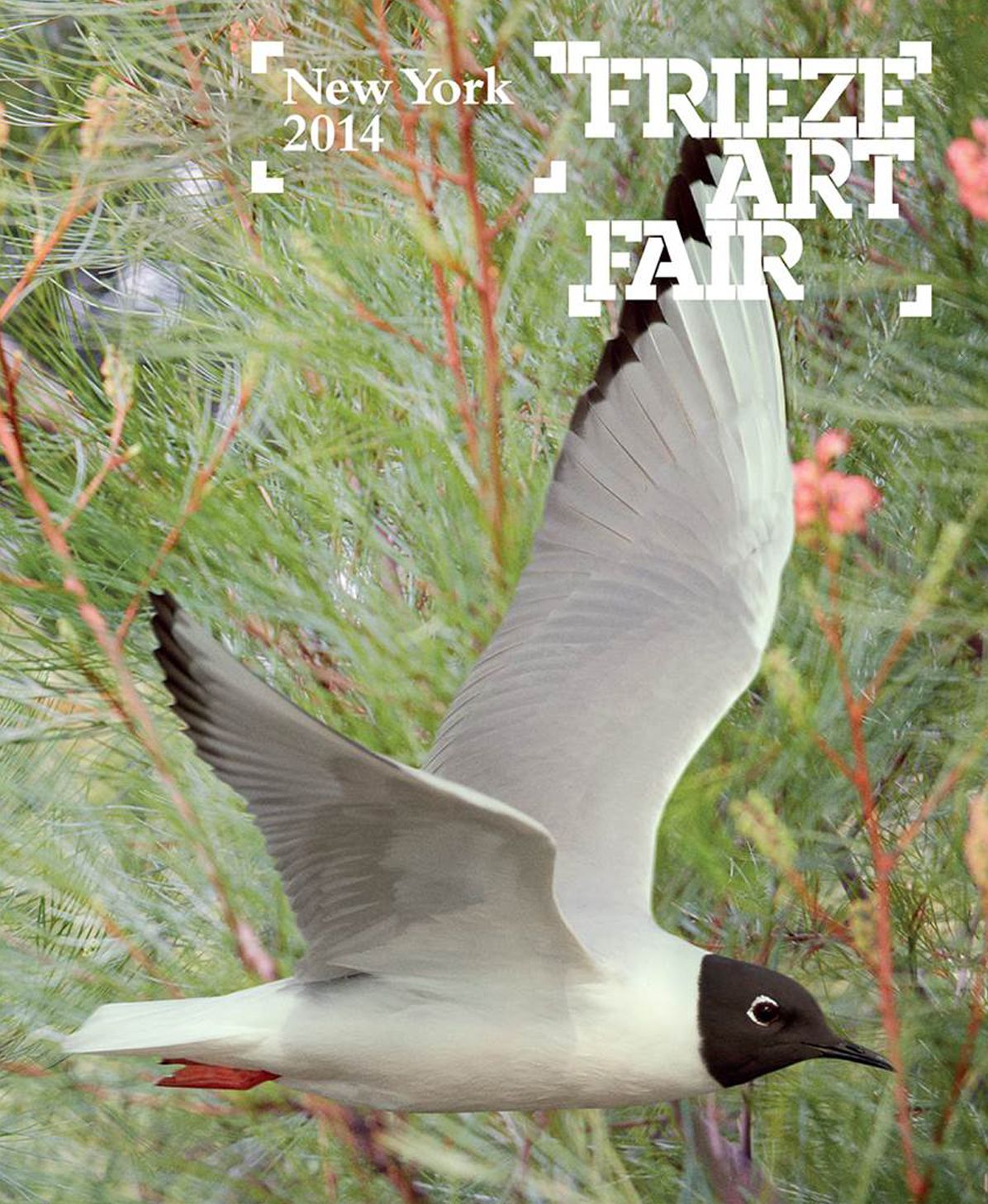 Frieze Art Fair New York 2014