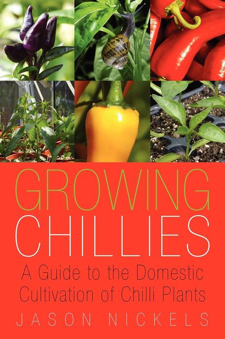 Growing Chillies