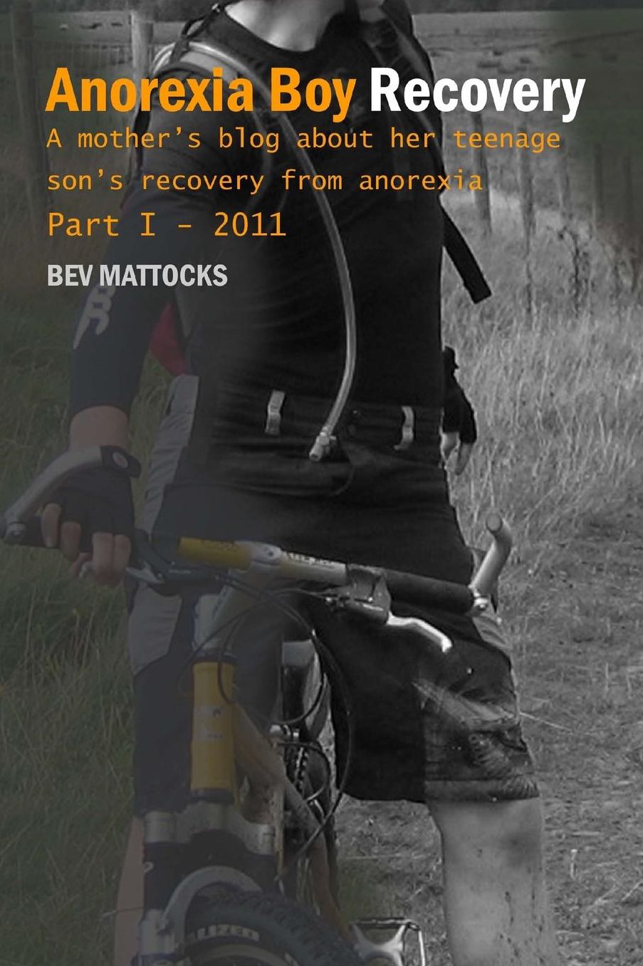 Anorexia Boy Recovery: A mother's blog about her teenage son's recovery from anorexia Part I - 2011