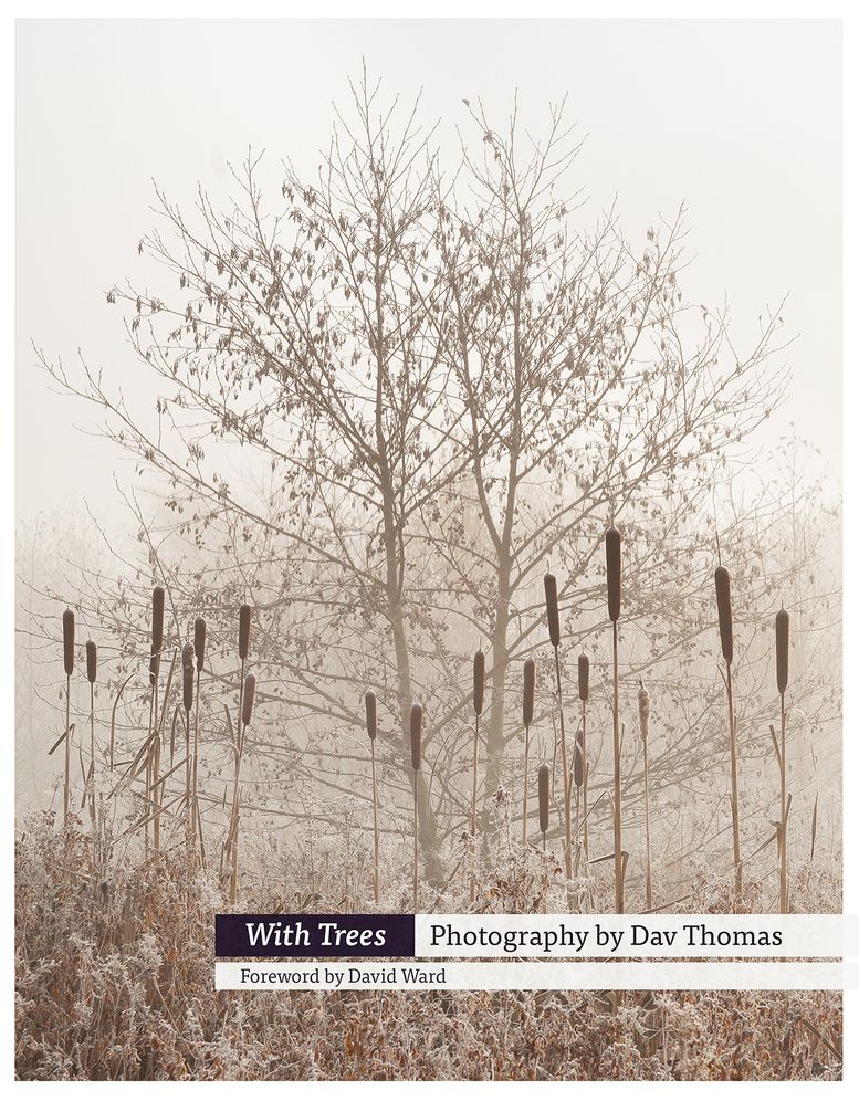 With Trees: Photography by Dav Thomas