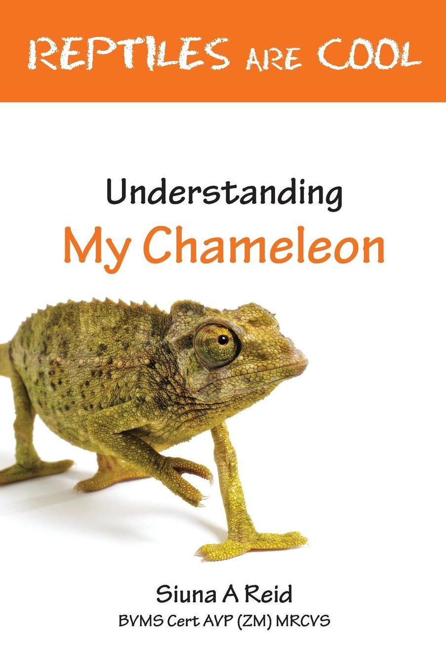 Reptiles are Cool- Understanding My Chameleon
