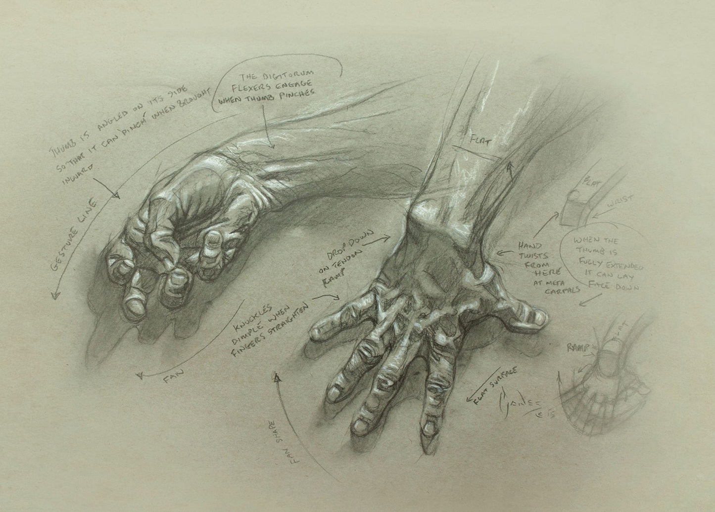 The Anatomy of Style: Figure Drawing Techniques