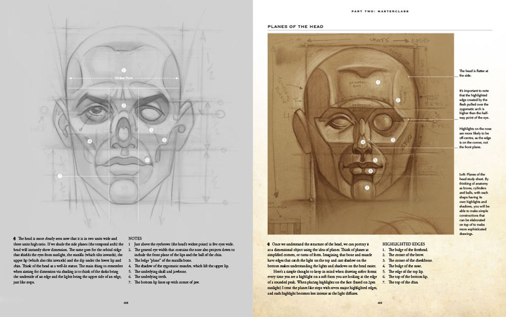 The Anatomy of Style: Figure Drawing Techniques