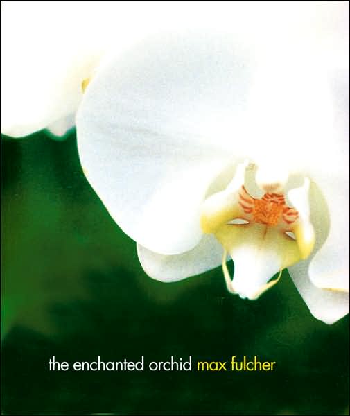 The Enchanged Orchid