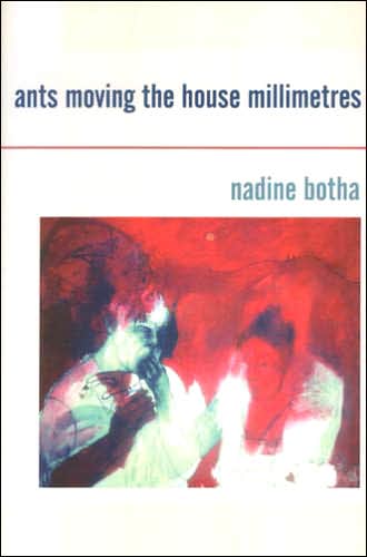 Ants Moving the House Millimetres