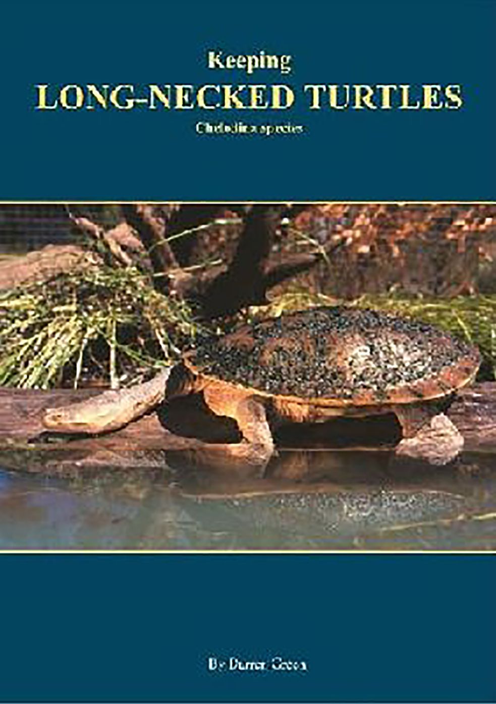 Keeping Long-Necked Turtles: Chelodina Species