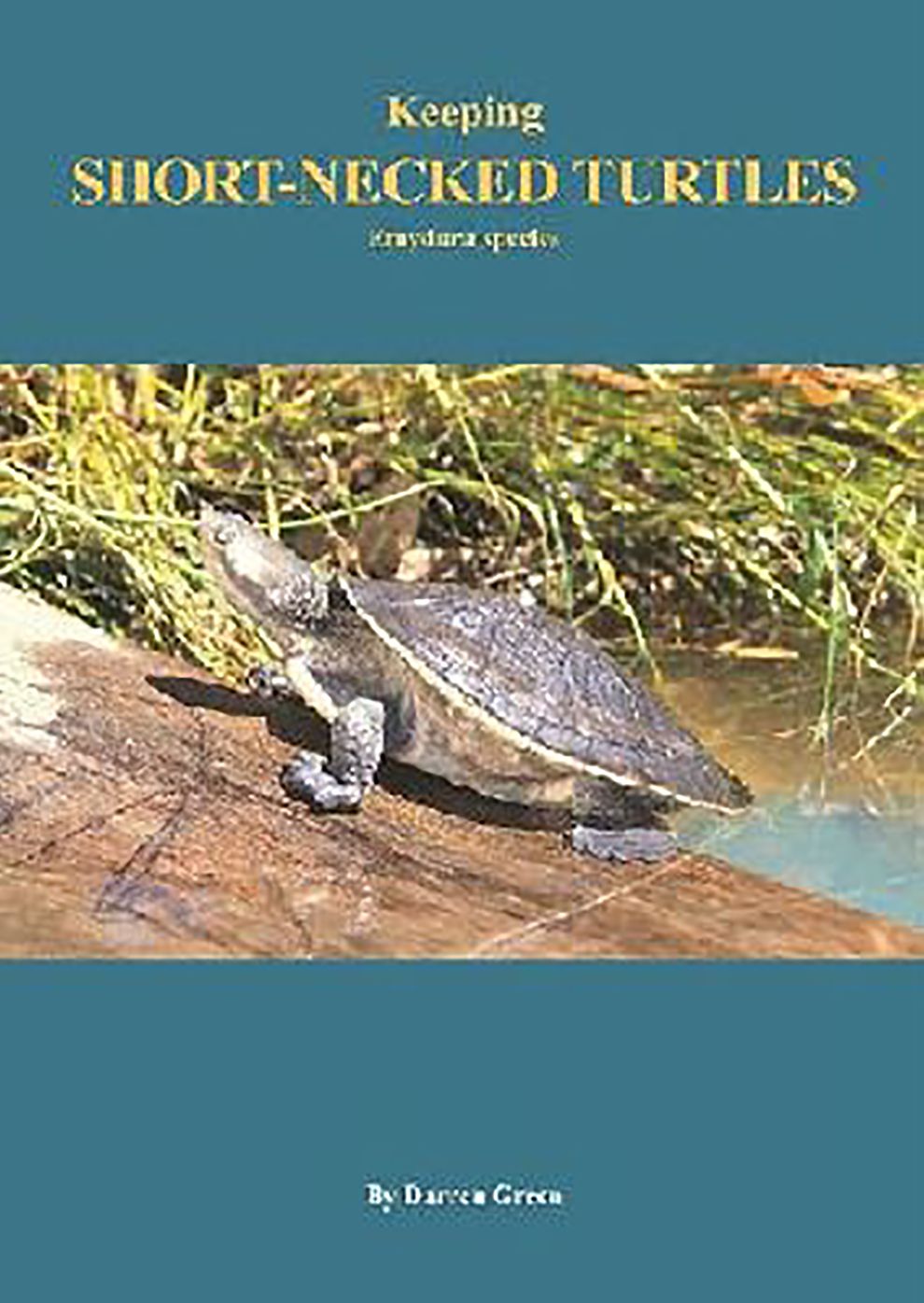 Keeping Short-Necked Turtles: Emydura Species