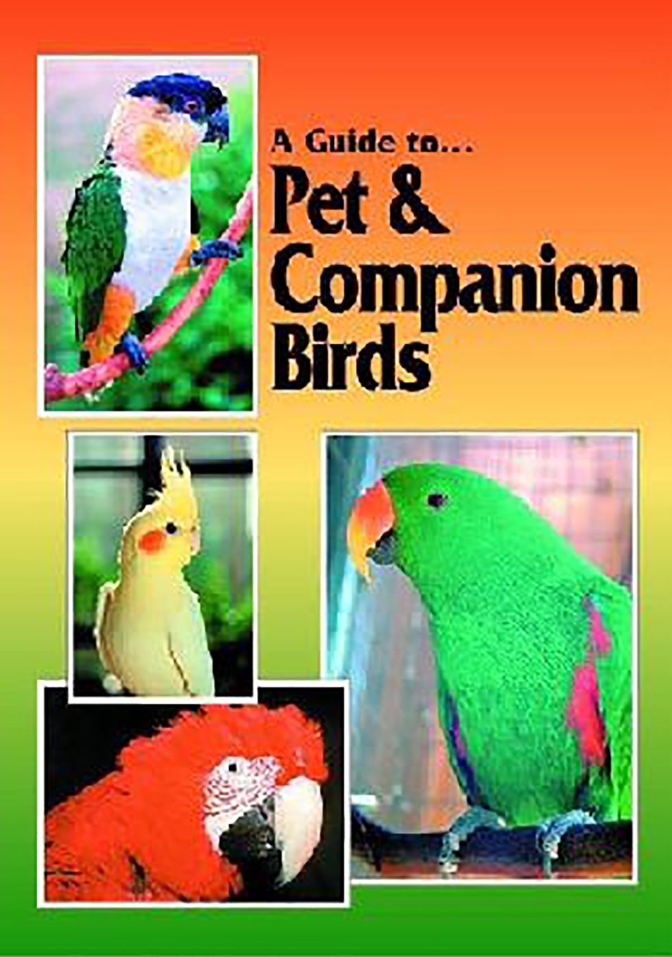 Guide to Pet and Companion Birds: Their Keeping, Training and Well-Being