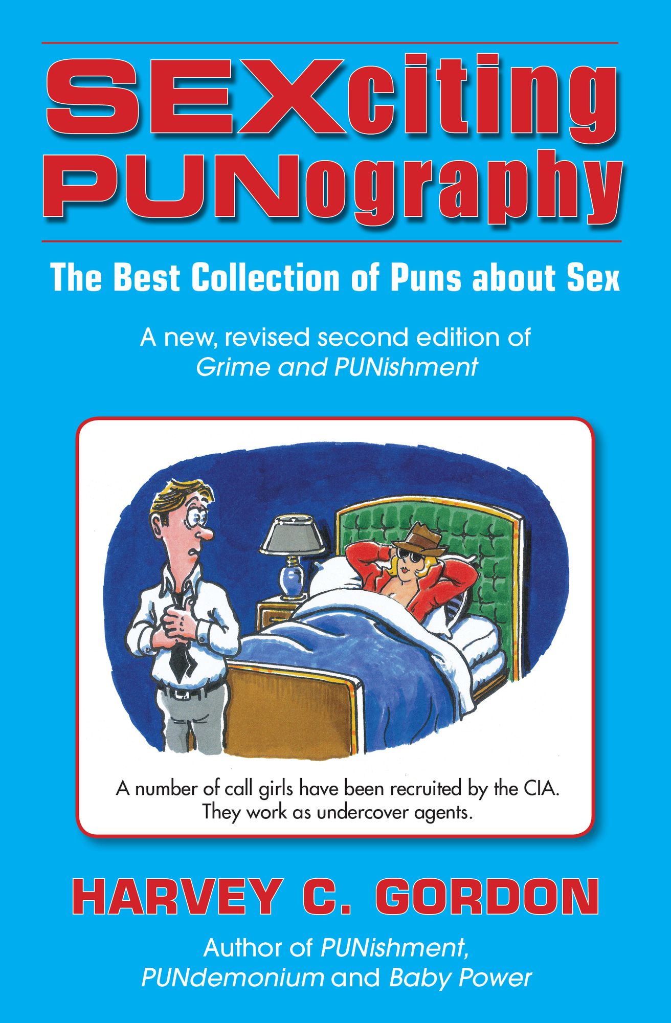 SEXciting PUNography: The Best Collection of Puns About Sex