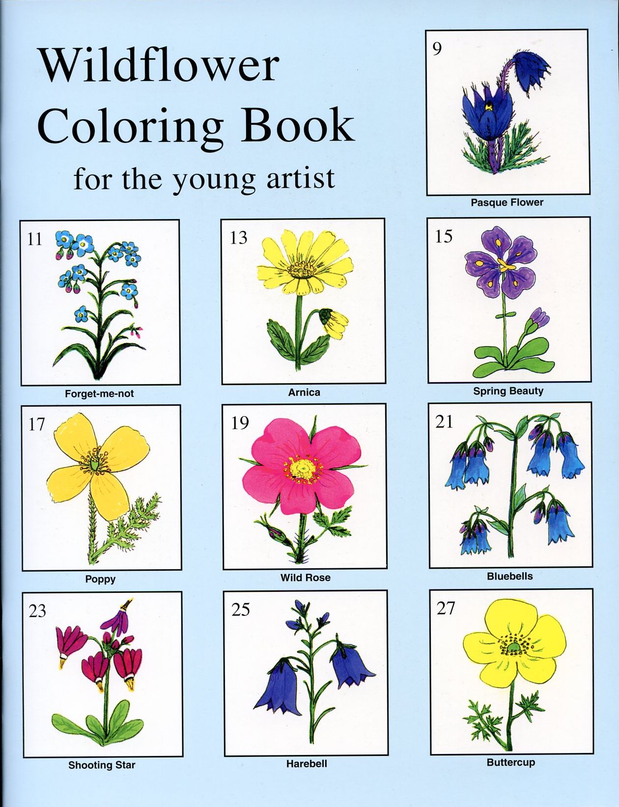 Wildflower Coloring Book