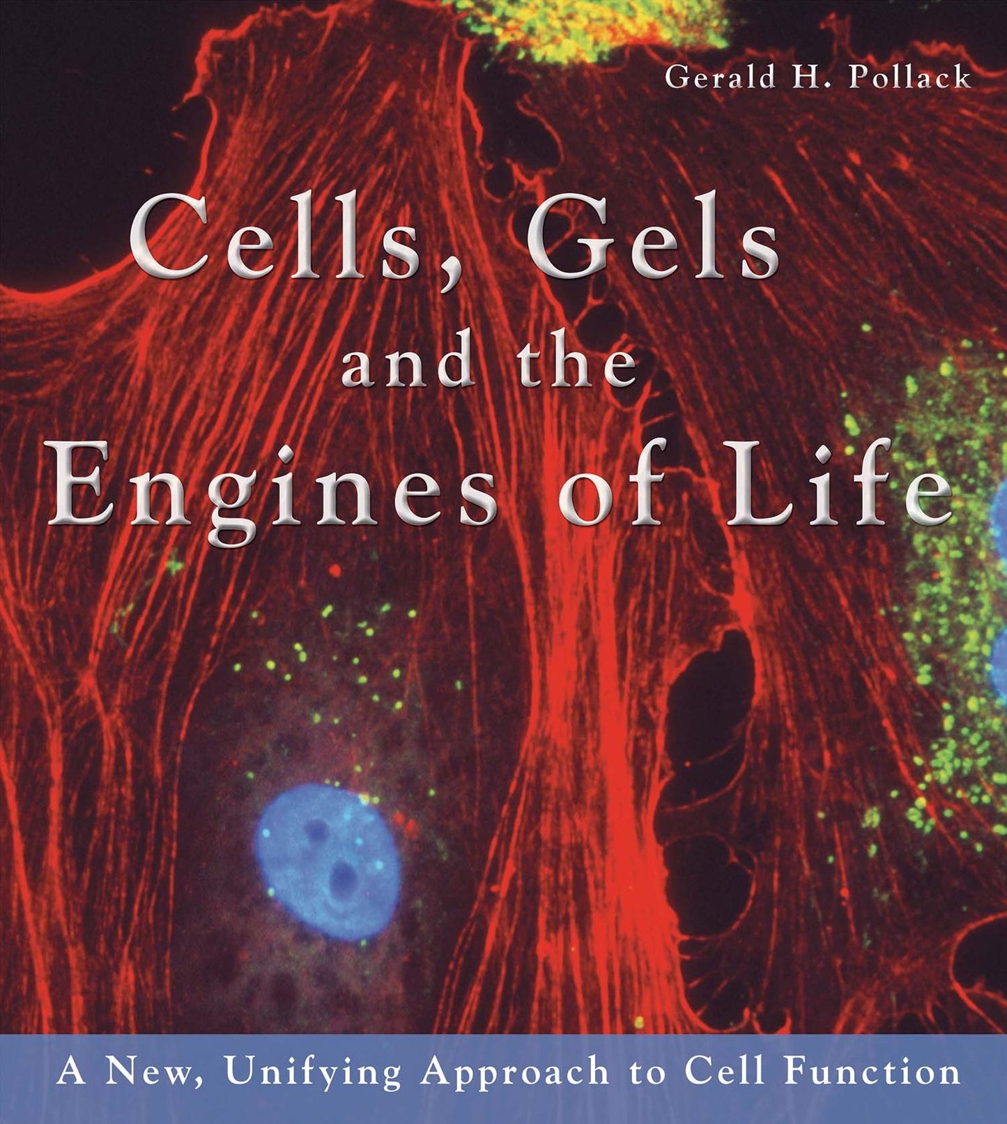 Cells, Gels and the Engines of Life: A New Unifying Approach to Cell Function