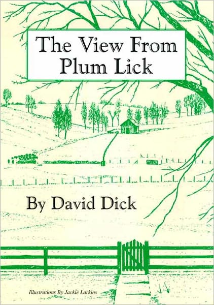 The View from Plum Lick
