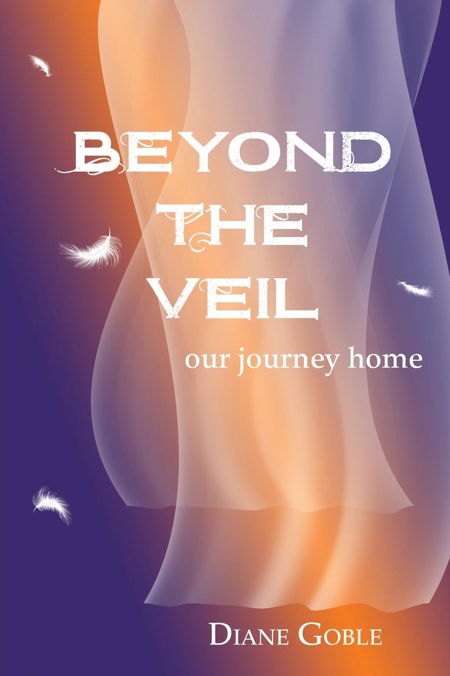 Beyond the Veil: Our Journey Home