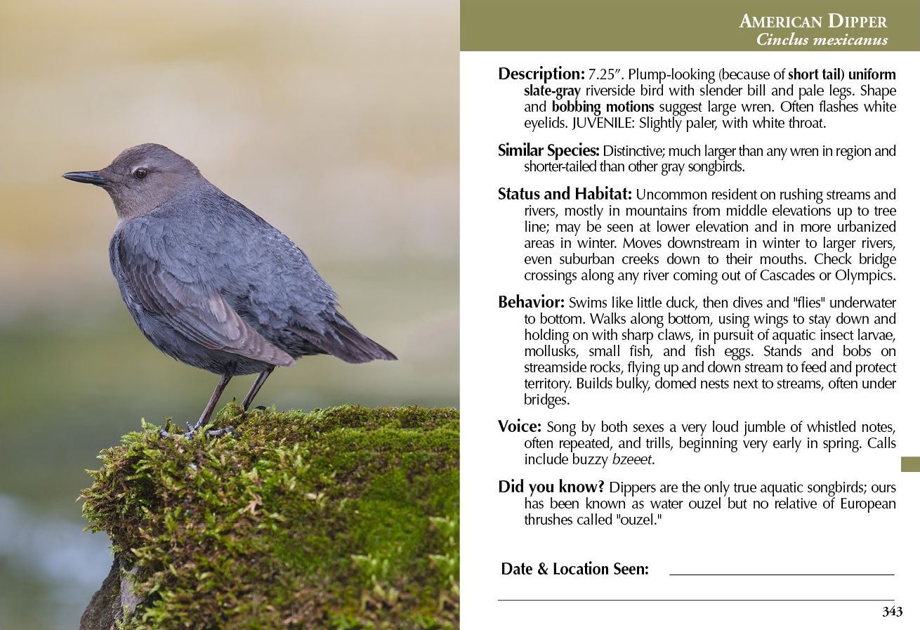 Birds of the Puget Sound Region: Coast to Cascades