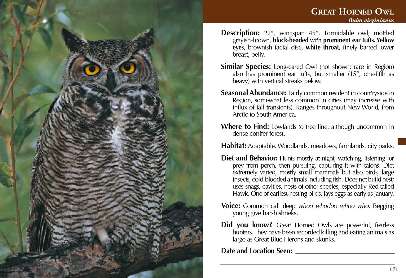 Birds of the Willamette Valley Region