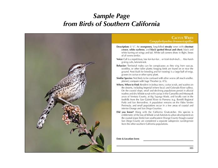 Birds of Southern California