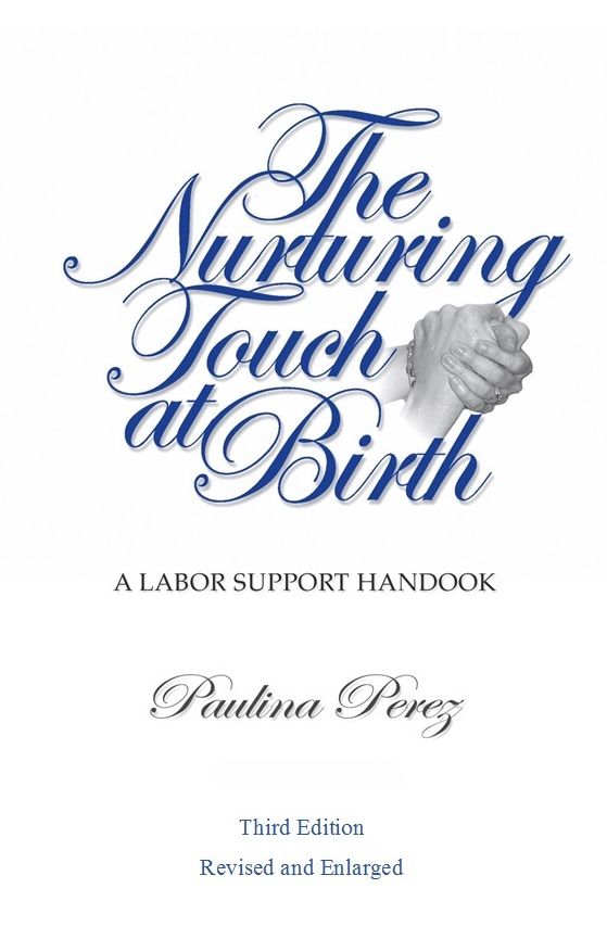 The Nurturing Touch at Birth: A Labor Support Handbook: Third Edition