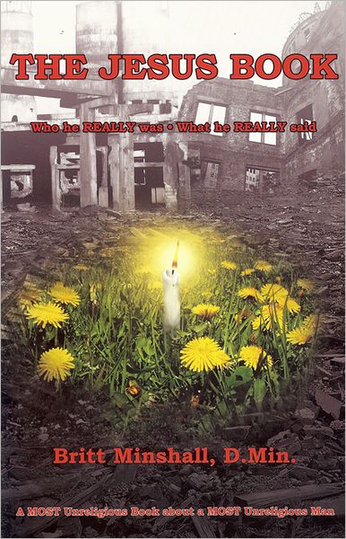 The Jesus Book: Who He Really Was What He Really Said