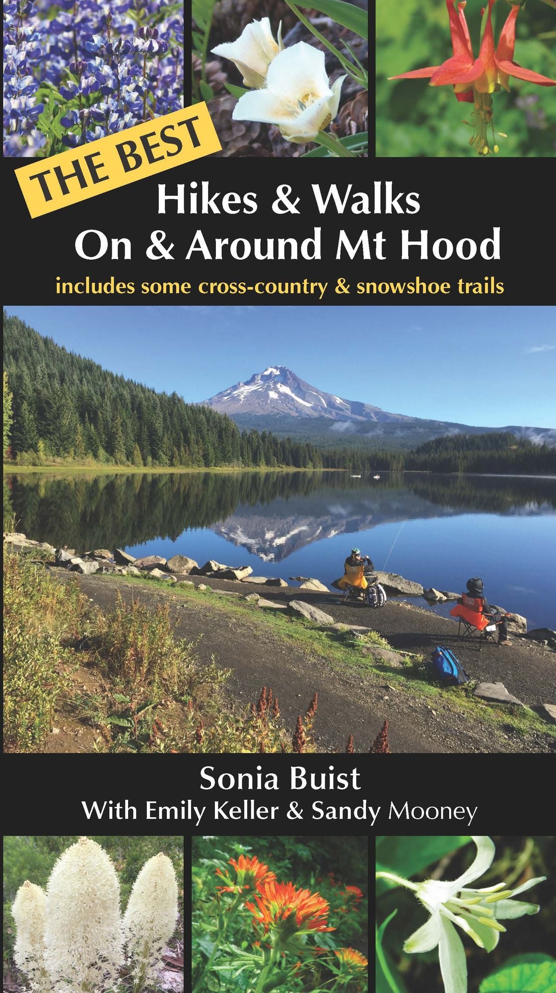 The Best Hikes & Walks On & Around Mt Hood
