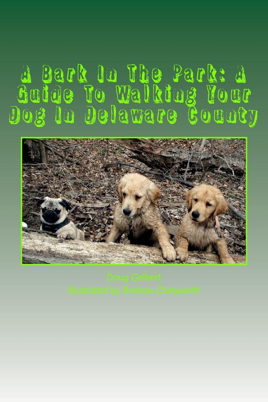 A Bark in the Park: A Guide to Walking Your Dog in Delaware County