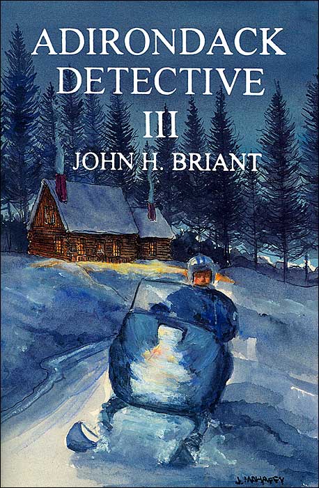 Adirondack Detective III