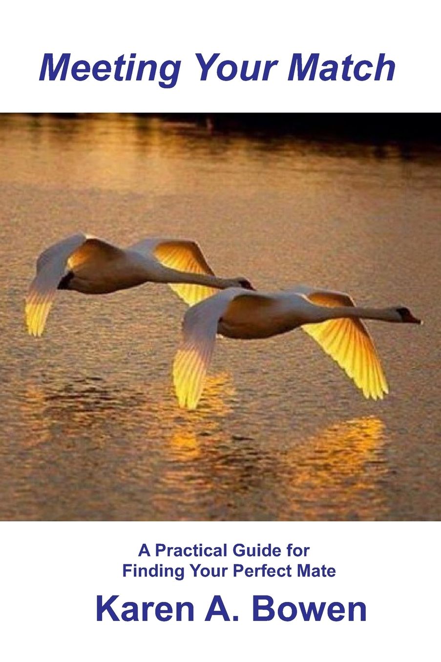Meeting Your Match: A Practical Guide for Finding Your Perfect Mate