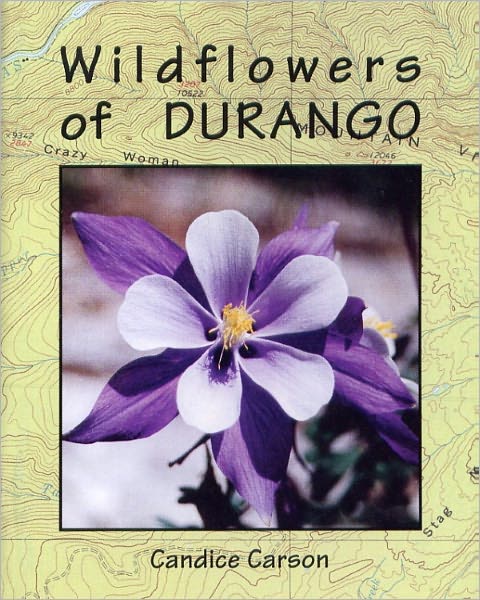 Wildflowers of Durango