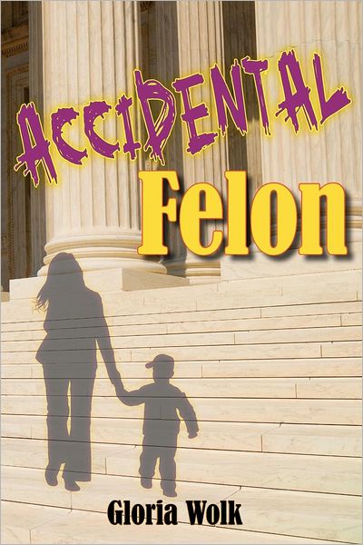 Accidental Felon