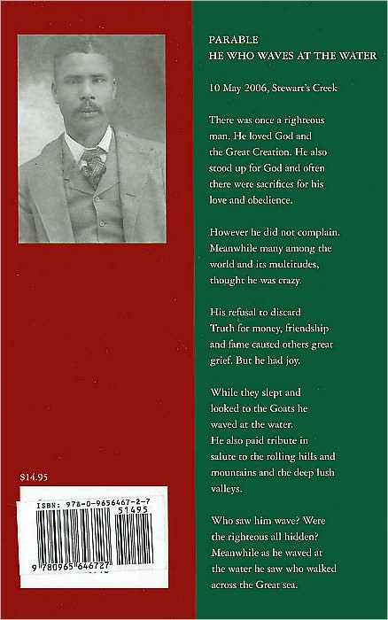 Fallen Letters: Mis-Education and Intellectual Confusion (Essays on the Black Experience)