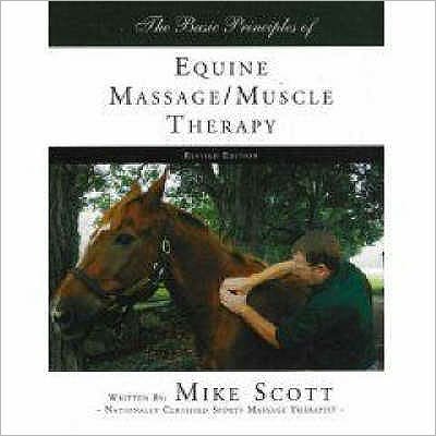 The Basic Principles of Equine Massage-Muscle Therapy