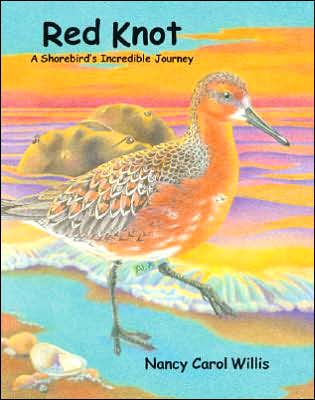 Red Knot: A Shorebird's Incredible Journey