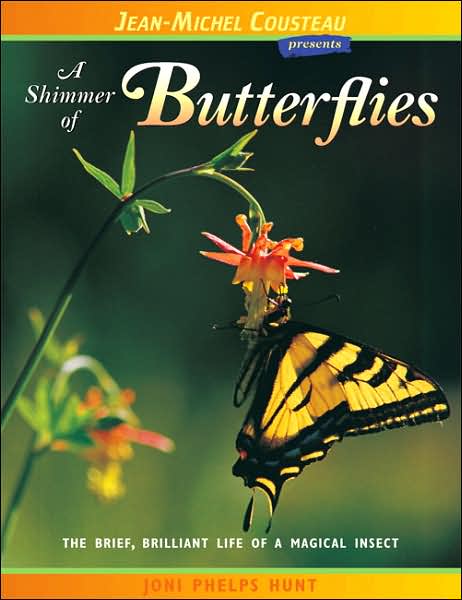 Shimmer of Butterflies: The Brief, Brilliant Life of a Magical Insect (London Town Wild Life Series)