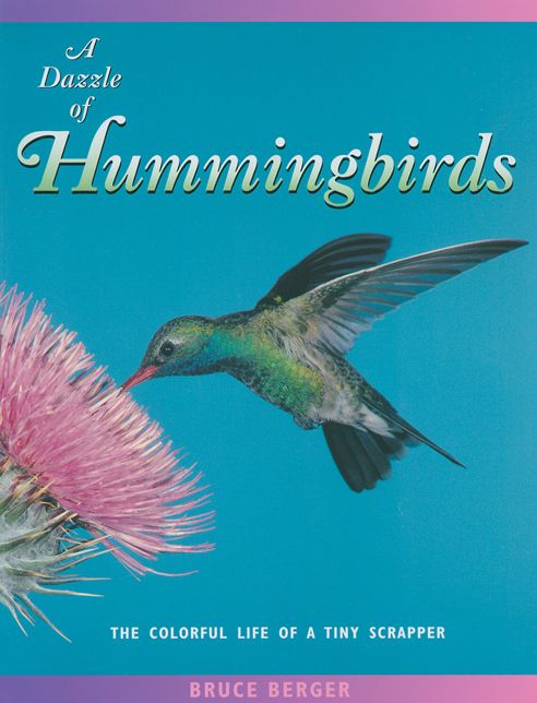 Dazzle of Hummingbirds: The Colorful Life of a Tiny Scrapper (London Town Wild Life Series)