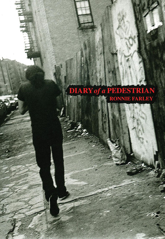 Diary of a Pedestrian: A New York Photo Memoir