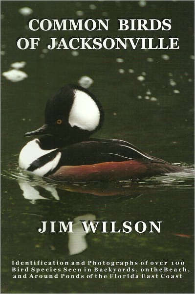 Common Birds of Jacksonville