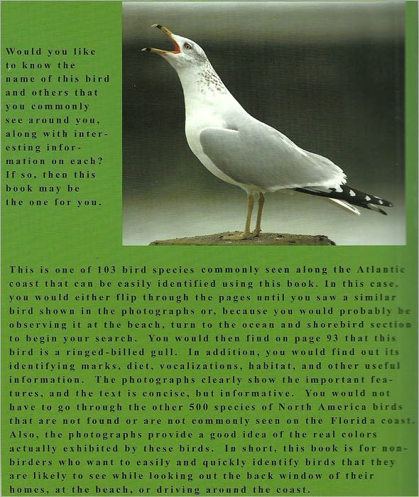Common Birds of Jacksonville