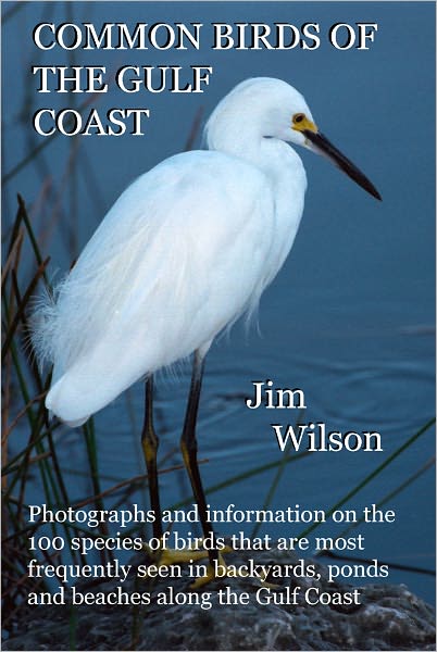 Common Birds of the Gulf Coast