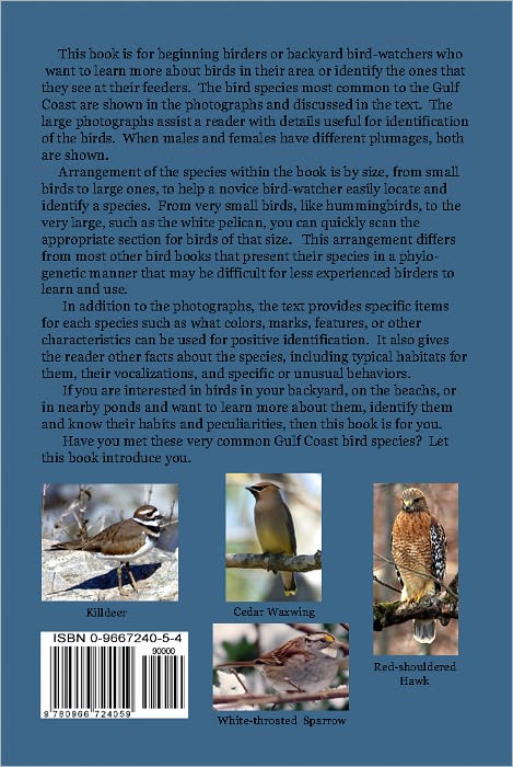 Common Birds of the Gulf Coast