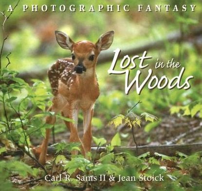 Lost in the Woods: A Photographic Fantasy