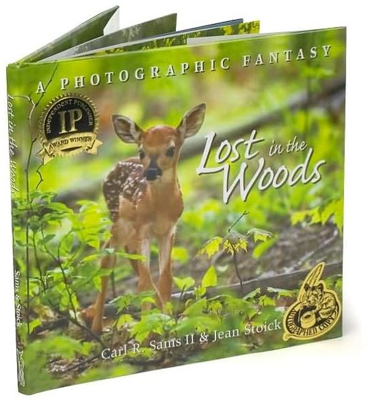 Lost in the Woods: A Photographic Fantasy